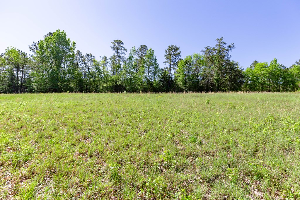 7330 Psalmond Road Midland, GA 31820 - Photo 14 of 20 Gallery Image 14