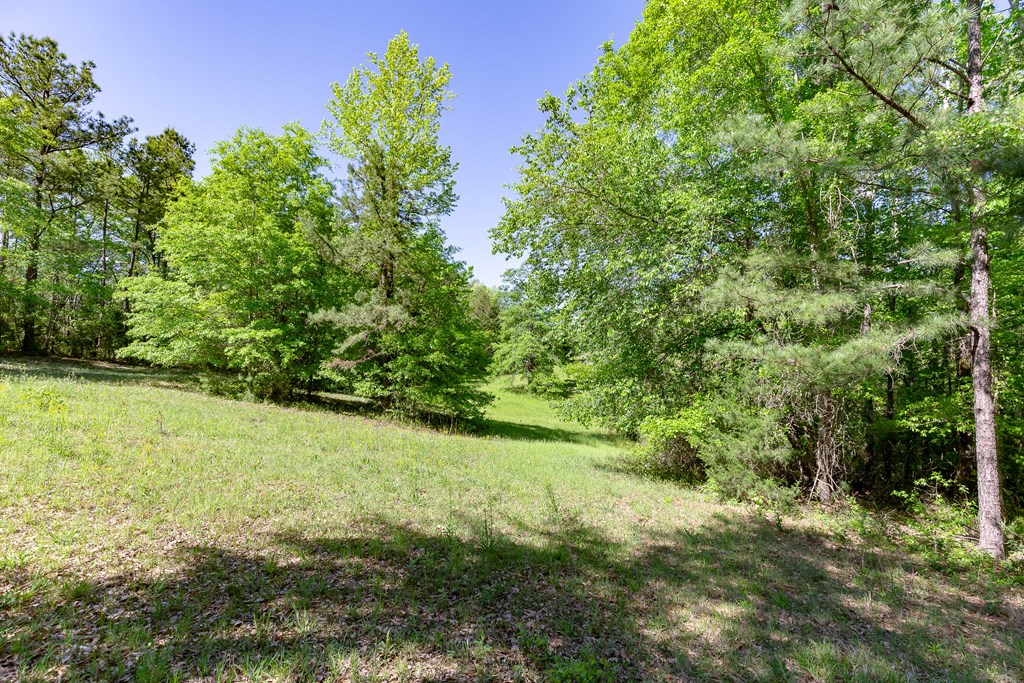 7330 Psalmond Road Midland, GA 31820 - Photo 15 of 20 Gallery Image 15