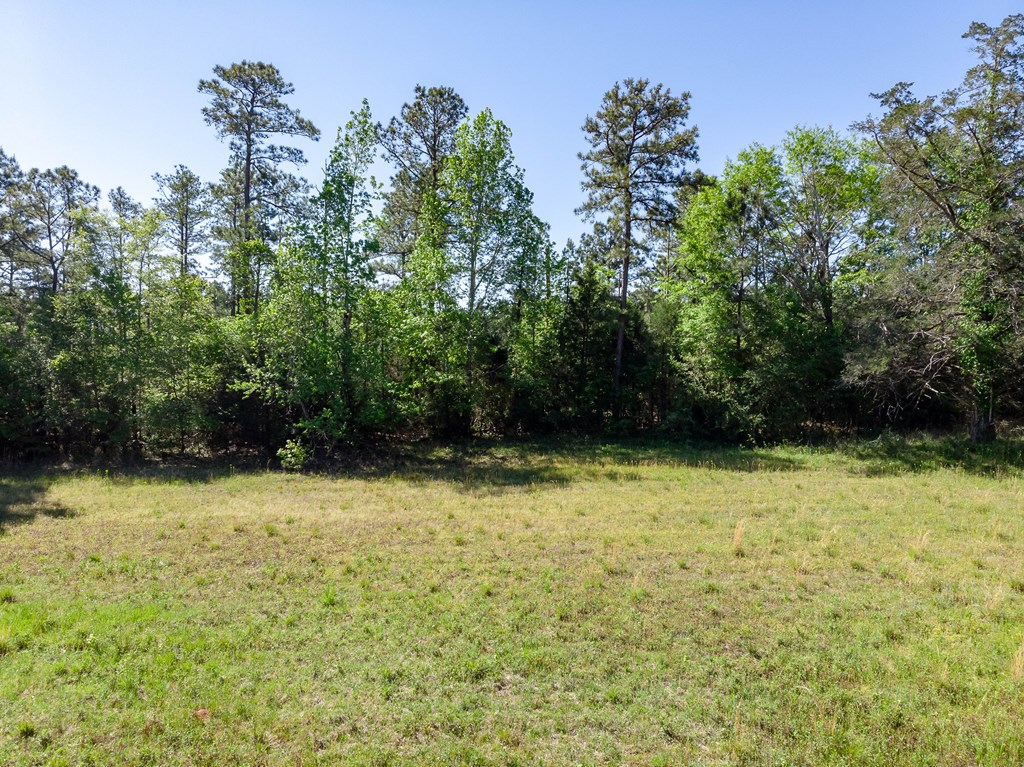 7330 Psalmond Road Midland, GA 31820 - Photo 16 of 20 Gallery Image 16
