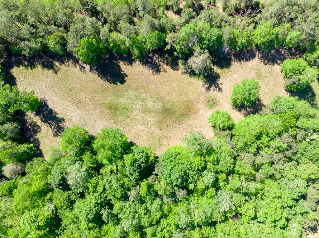 7330 Psalmond Road Midland, GA 31820 - Photo 17 of 20 Gallery Image 17