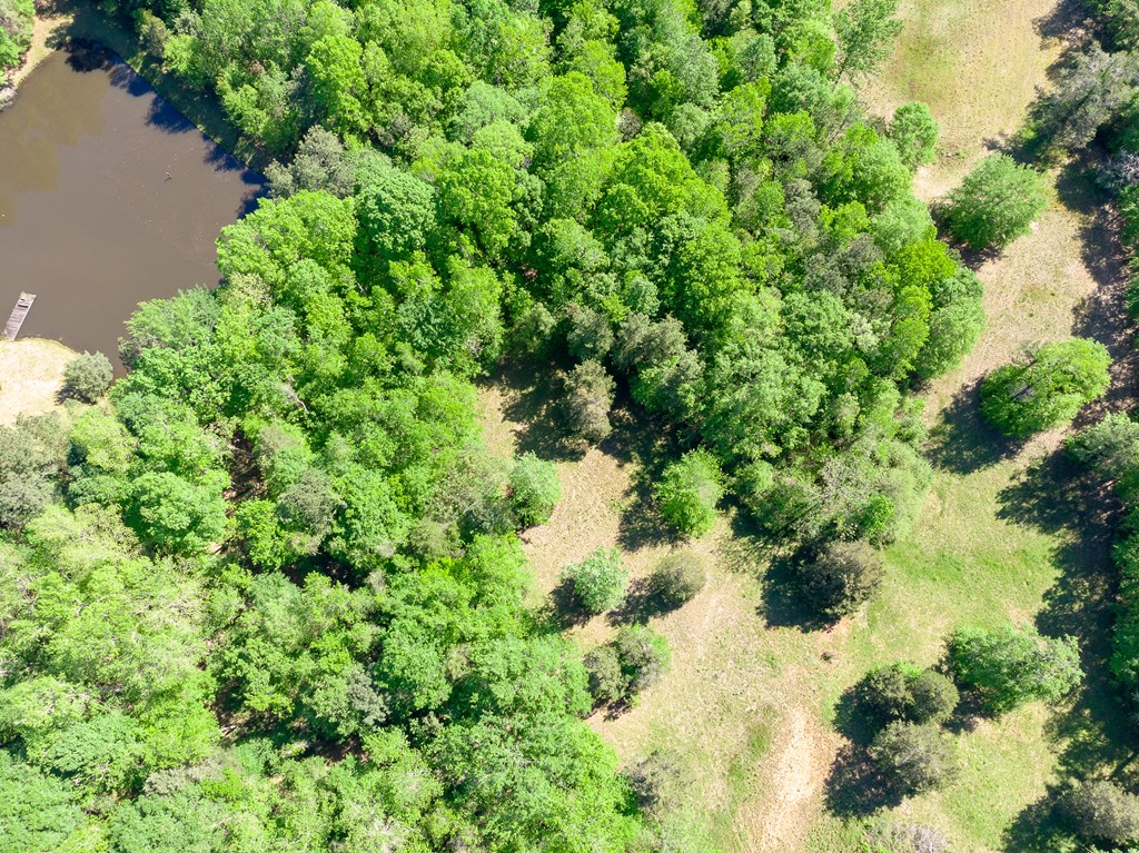 7330 Psalmond Road Midland, GA 31820 - Photo 19 of 20 Gallery Image 19