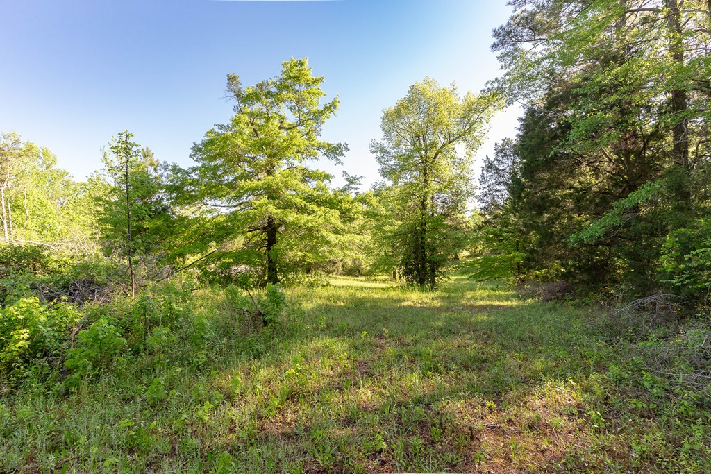 7330 Psalmond Road Midland, GA 31820 - Photo 2 of 20 Gallery Image 2