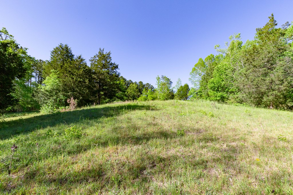 7330 Psalmond Road Midland, GA 31820 - Photo 5 of 20 Gallery Image 5