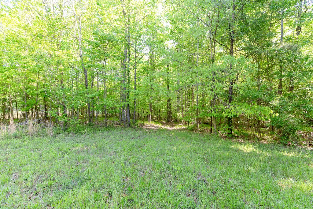 7330 Psalmond Road Midland, GA 31820 - Photo 6 of 20 Gallery Image 6