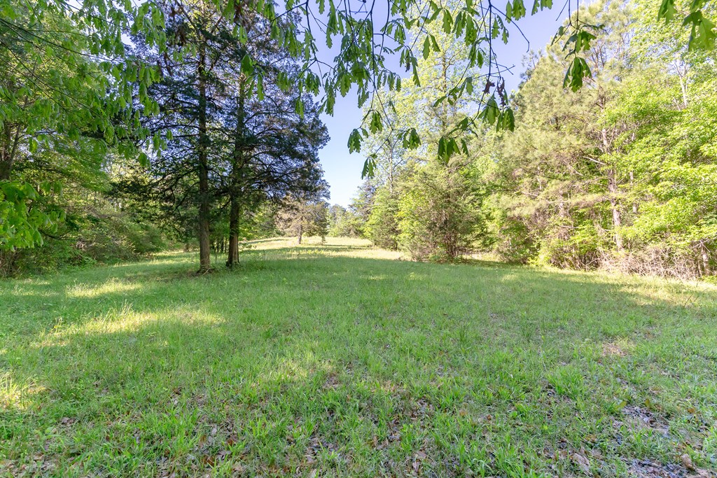 7330 Psalmond Road Midland, GA 31820 - Photo 7 of 20 Gallery Image 7