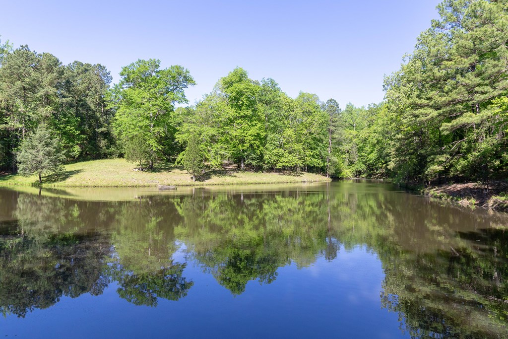 7330 Psalmond Road Midland, GA 31820 - Photo 8 of 20 Gallery Image 8