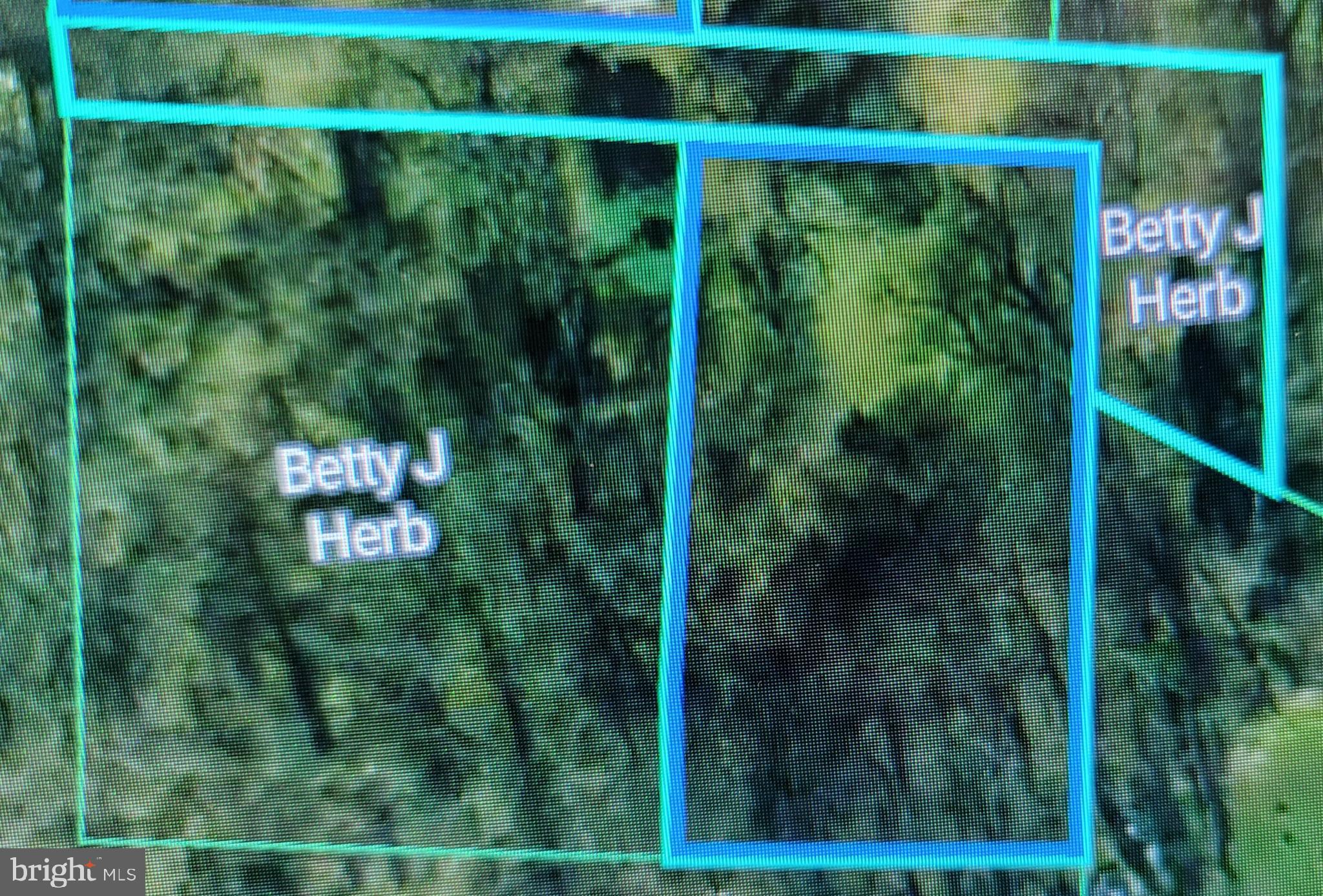 0 Walnut Street Highspire, PA 17034 - Photo 3 of 3 a view of a window