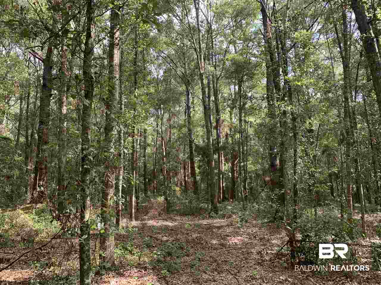 6 Sherwood Highland Road Fairhope, AL 36532 - Photo 5 of 6