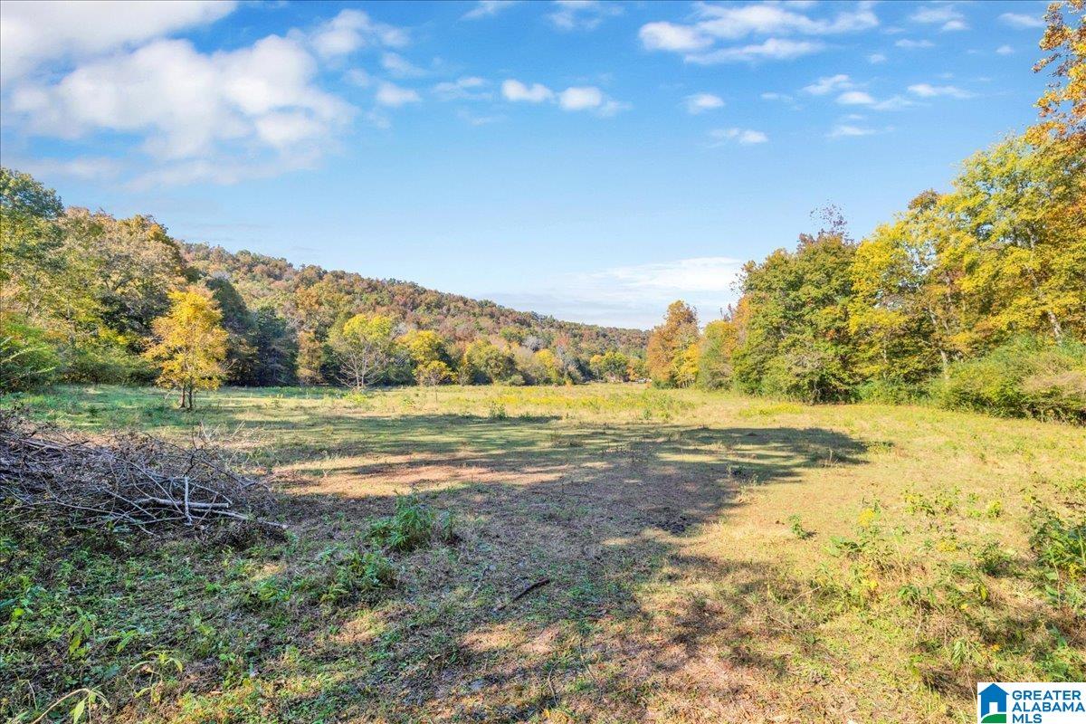 1215 Red Valley Road Remlap, AL 35133 - Photo 41 of 43