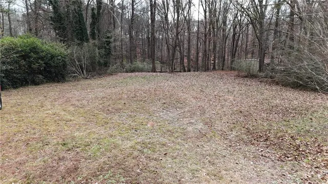 a view of backyard with parked car