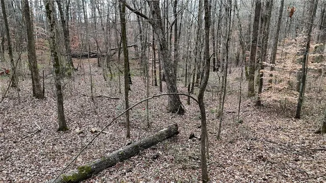 a view of a backyard with pathway