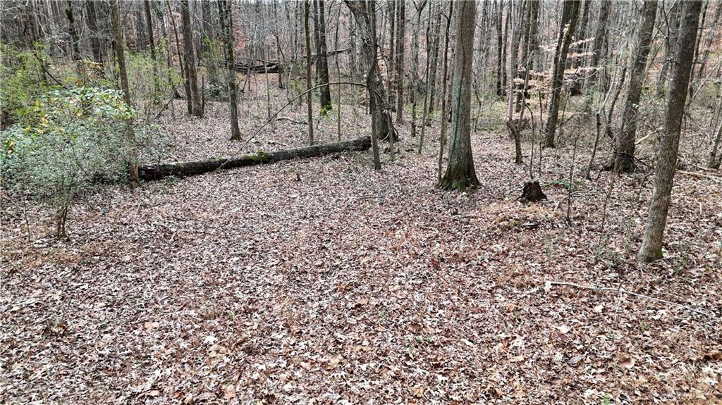 7307 Williams Road Flowery Branch, GA 30542 - Photo 20 of 30 a view of a backyard with pathway