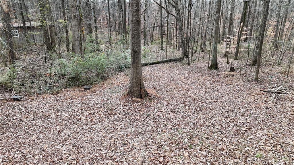 7307 Williams Road Flowery Branch, GA 30542 - Photo 22 of 30