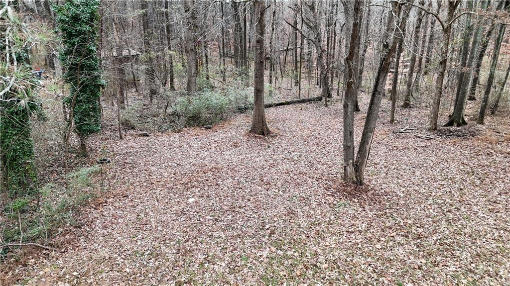 7307 Williams Road Flowery Branch, GA 30542 - Photo 25 of 30 a view of a forest with trees