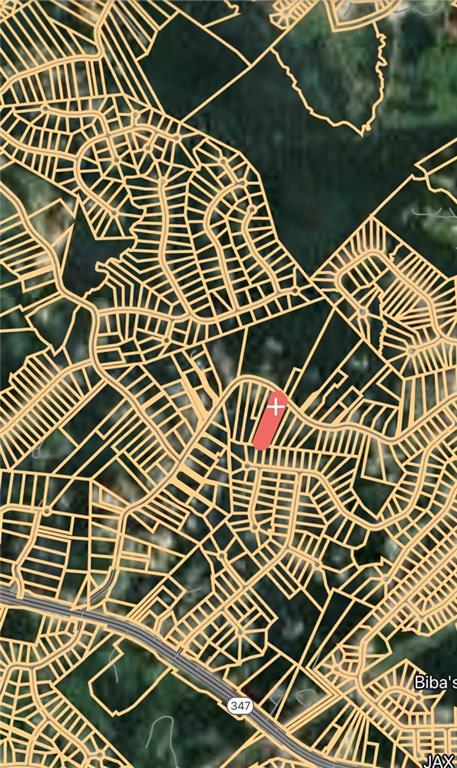 7307 Williams Road Flowery Branch, GA 30542 - Photo 5 of 30 an aerial view of a building