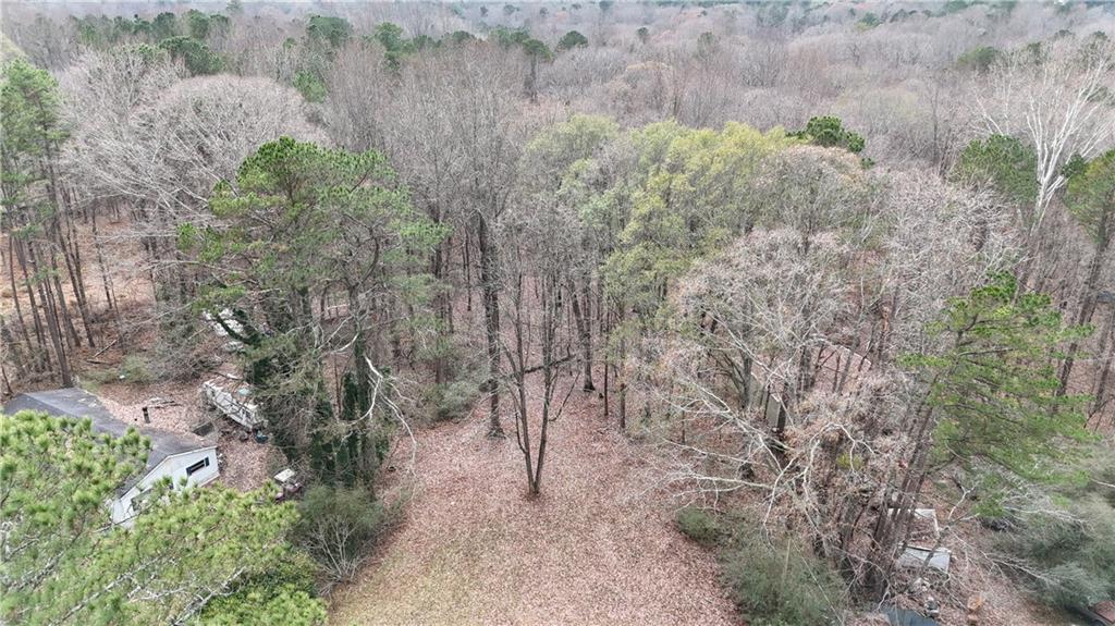 7307 Williams Road Flowery Branch, GA 30542 - Photo 10 of 30 a view of a forest with trees in the background