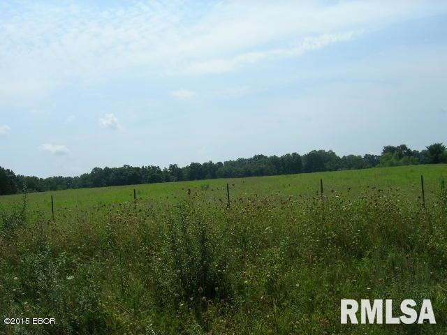 3350 Ozark Road Ozark, IL 62972 - Photo 3 of 3