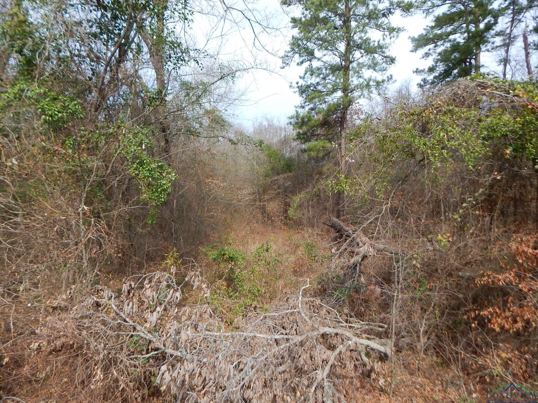 11.72 Acres George Richey Road White Oak, TX 75693 - Photo 16 of 17 Gallery Image 16