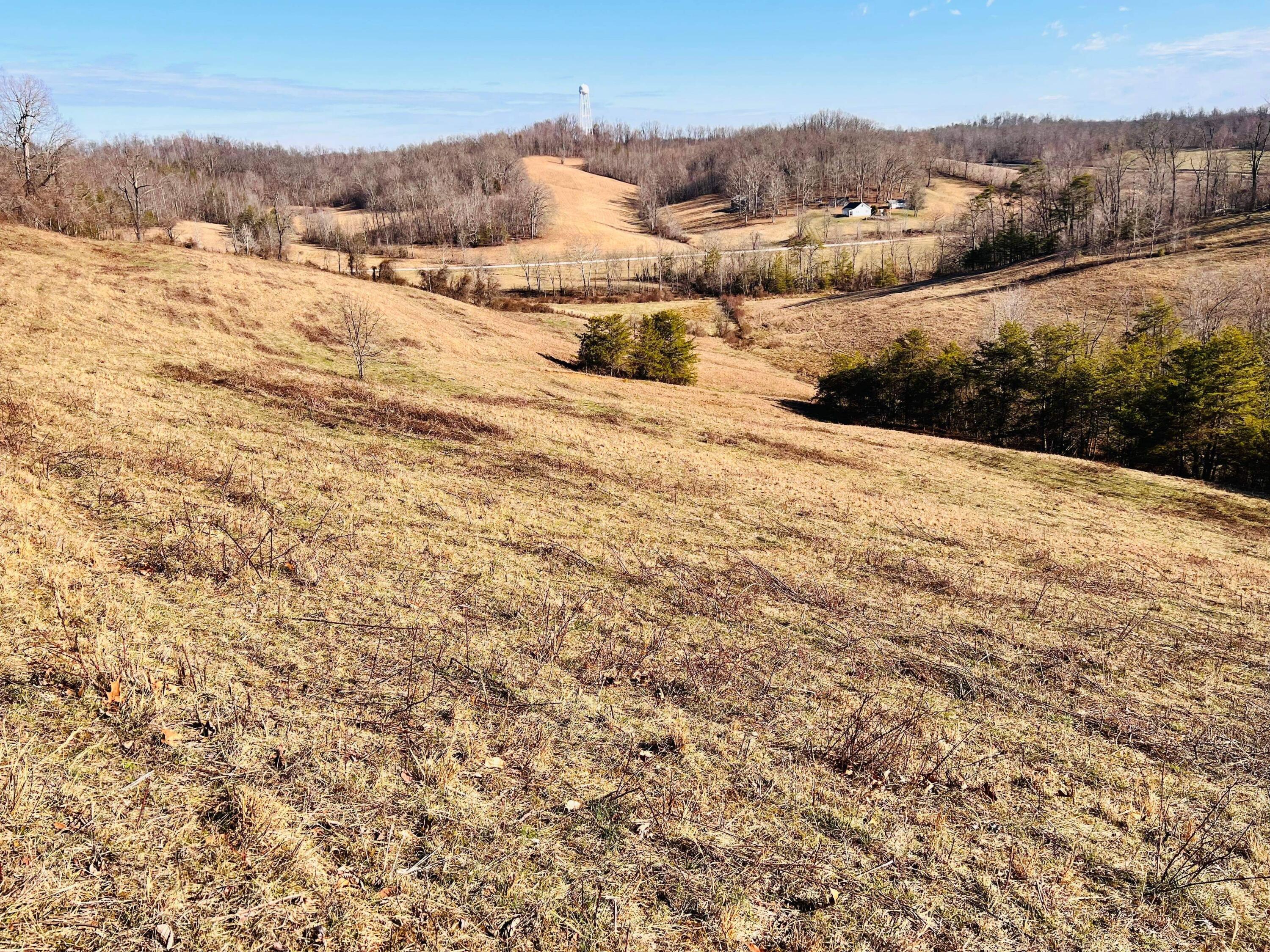 812 Stringtown Road Sandy Hook, KY 41171 - Photo 149 of 154 IMG_5944