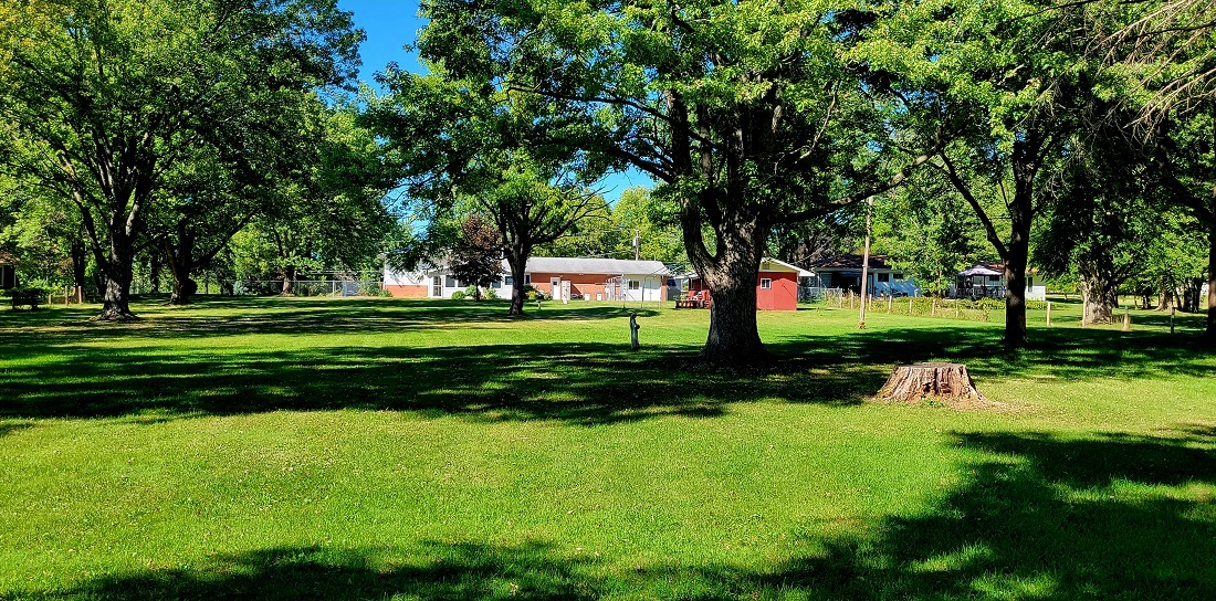 23885 Hazel Road Sterling, IL 61081 - Photo 42 of 48 a view of a park with large trees