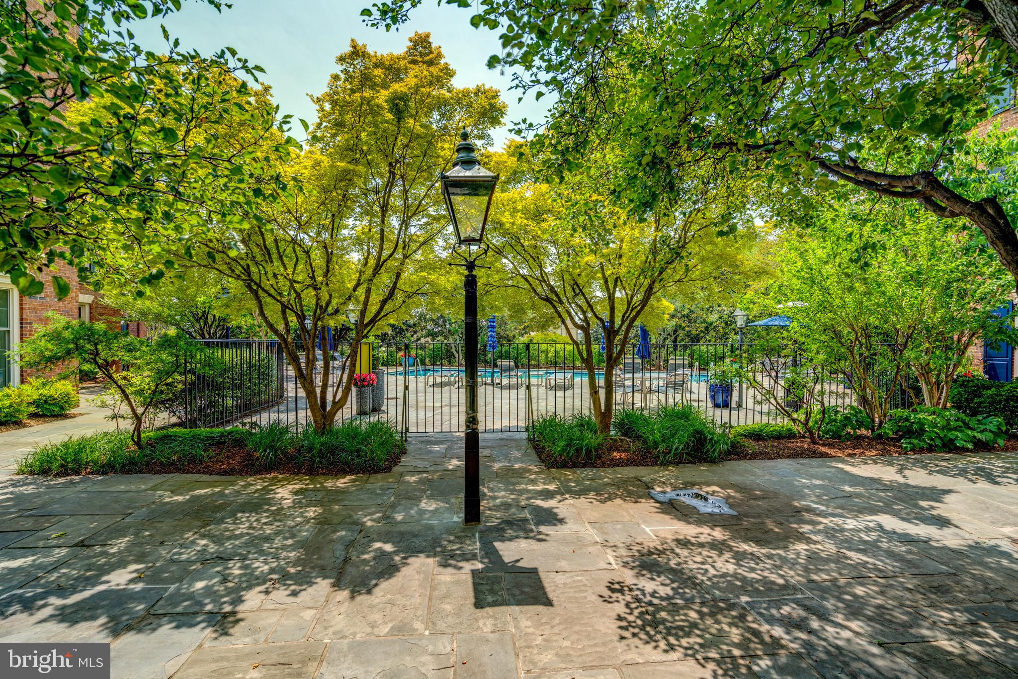 1825 Kalorama Square Washington, DC 20008 - Photo 43 of 46 Community Pool