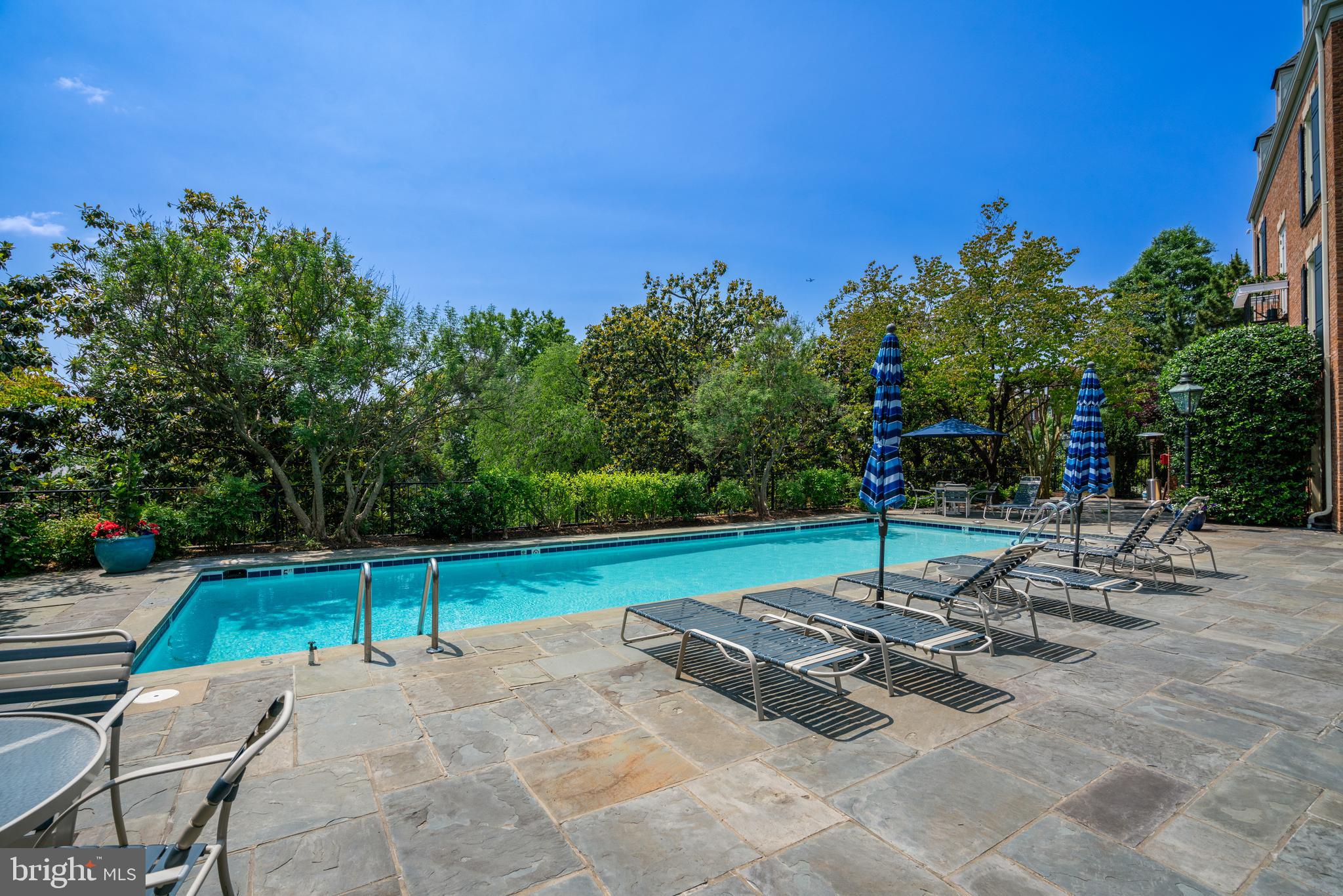 1825 Kalorama Square Washington, DC 20008 - Photo 44 of 46 Community Pool