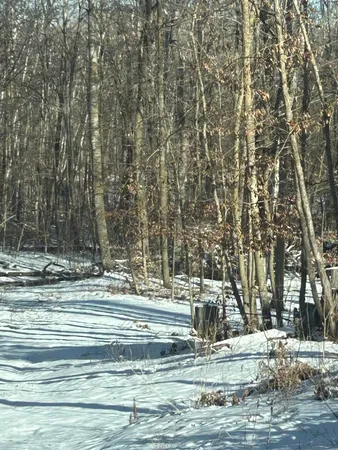 $24,900 | Xxx Birch Curve Road, Randall, MN 56475