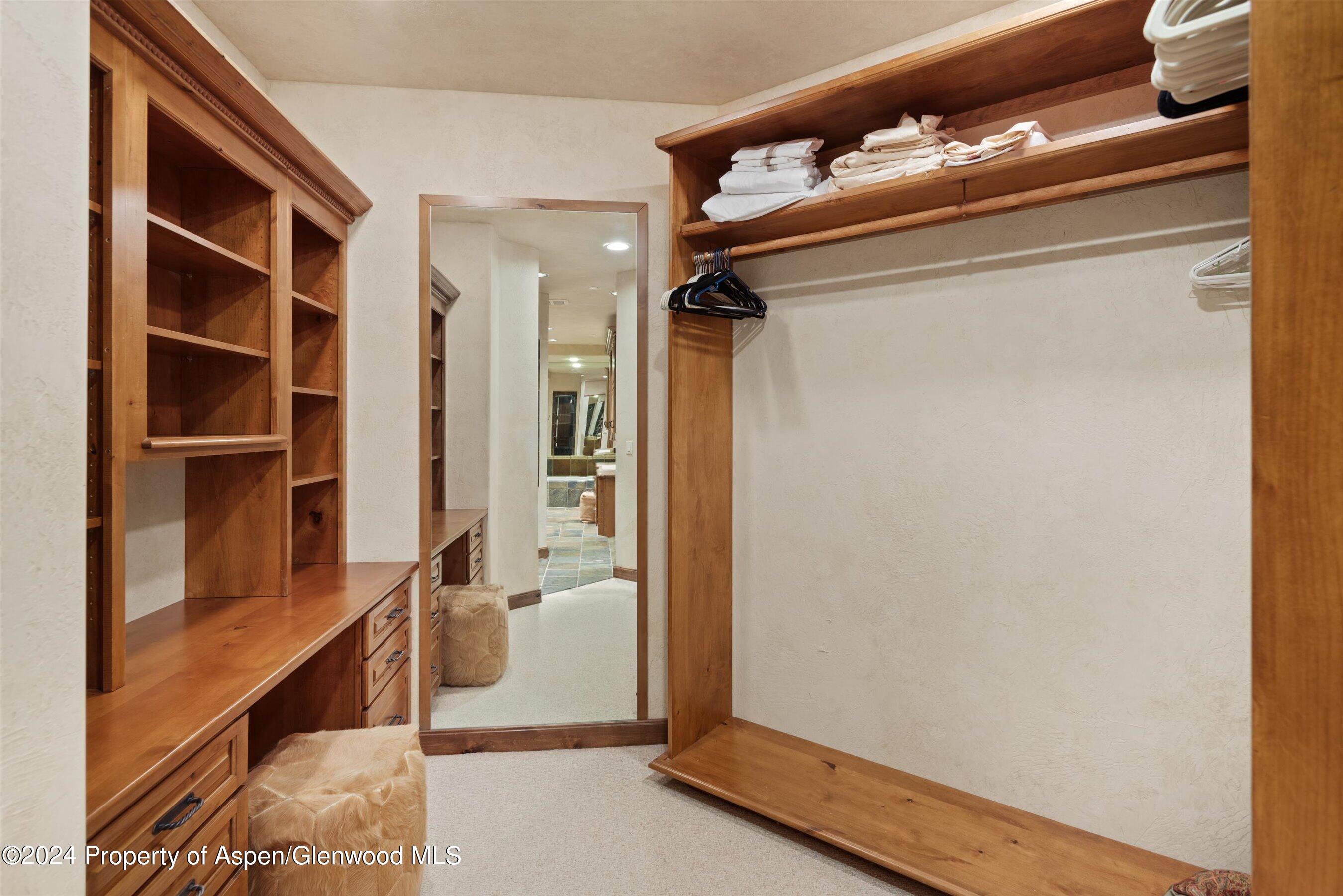 395 Silverlode Drive Aspen, CO 81611 - Photo 13 of 19 a view of walk in closet with empty racks