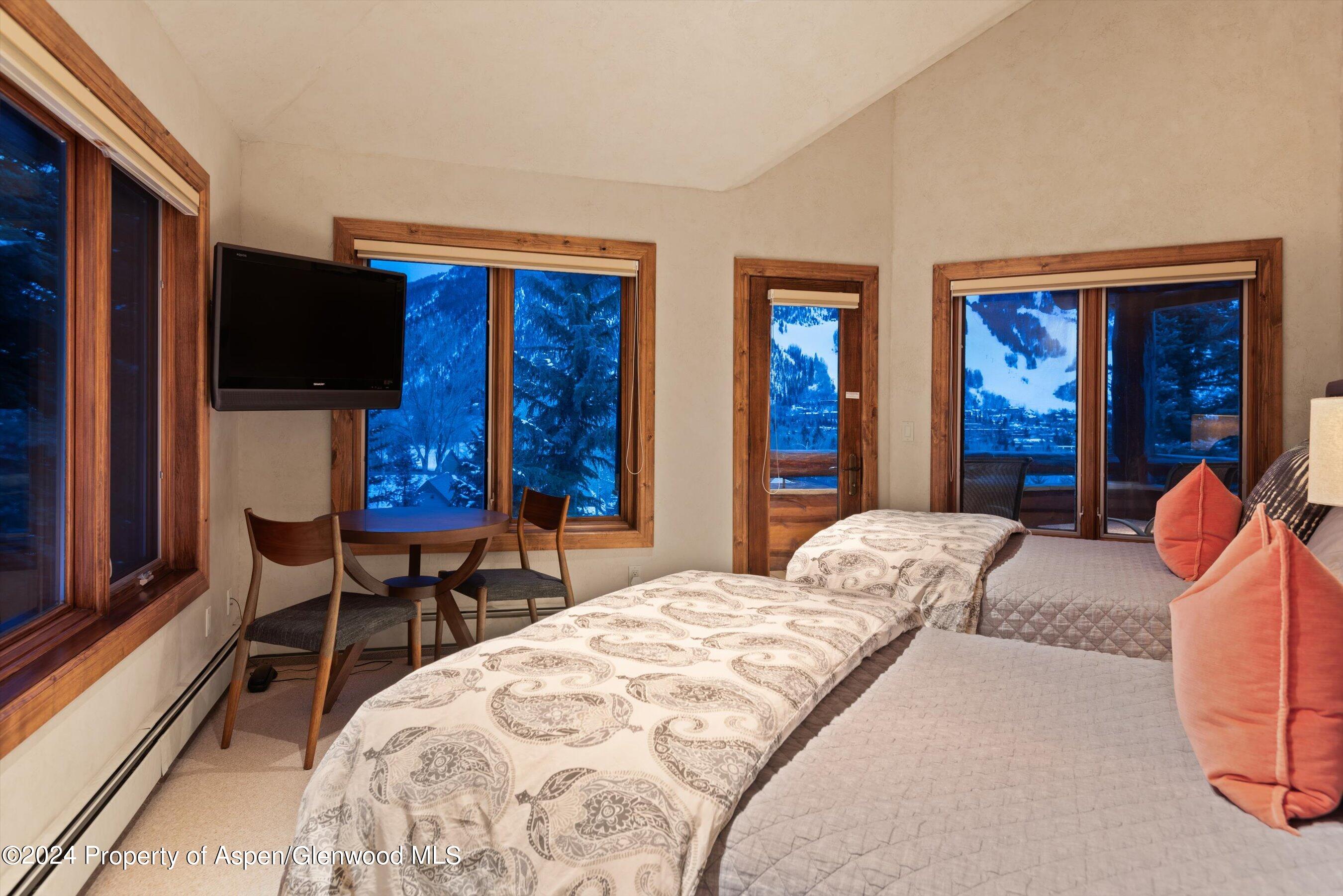 395 Silverlode Drive Aspen, CO 81611 - Photo 17 of 19 a bedroom with bed tv and window