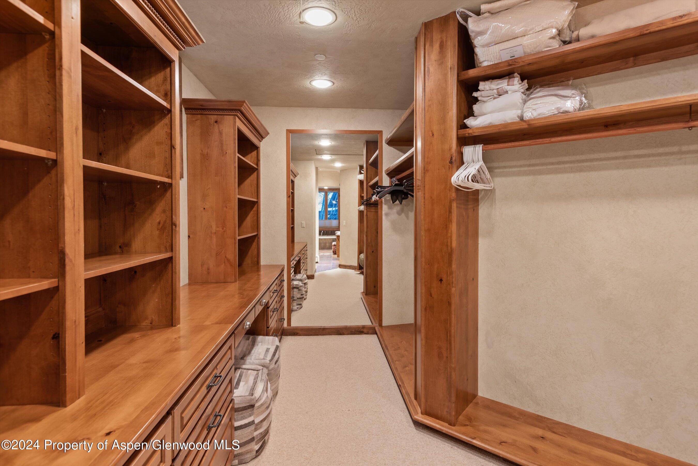 395 Silverlode Drive Aspen, CO 81611 - Photo 10 of 19 a view of a walk in closet