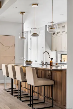 $3,150,000 | 420 South Humboldt Street, Denver, CO 80209