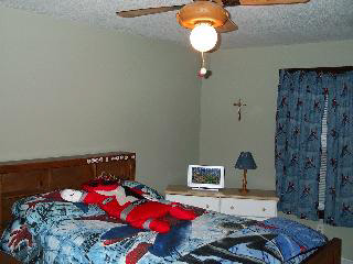 10054 Minx Road Temperance, MI 48182 - Photo 14 of 19 3rd Bedroom