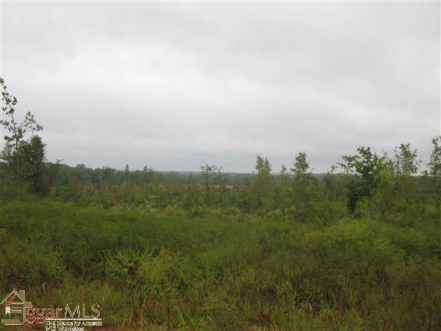 4330 Allen Bridge Road Fountain Inn, SC 29644 - Photo 1 of 9