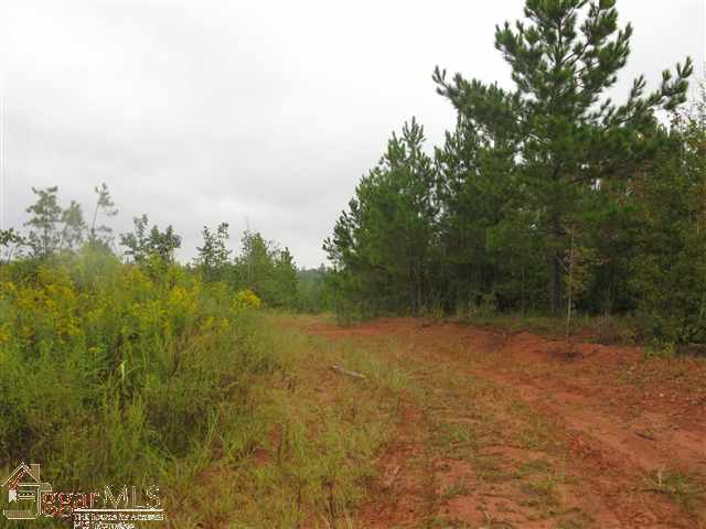 4330 Allen Bridge Road Fountain Inn, SC 29644 - Photo 2 of 9
