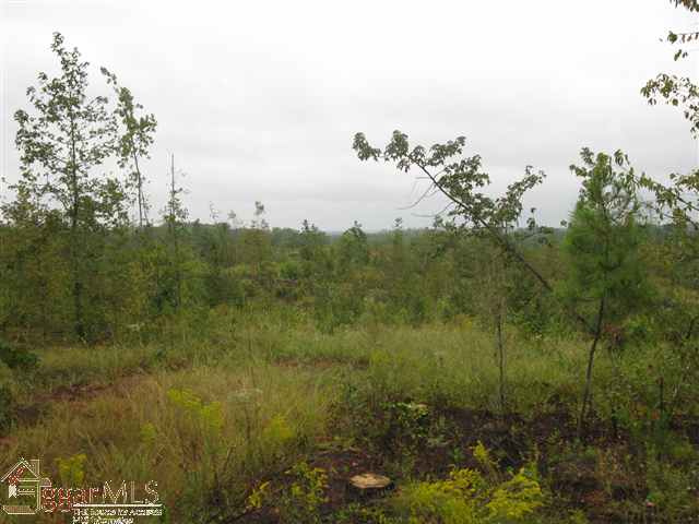 4330 Allen Bridge Road Fountain Inn, SC 29644 - Photo 3 of 9
