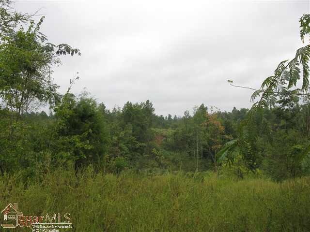 4330 Allen Bridge Road Fountain Inn, SC 29644 - Photo 6 of 9