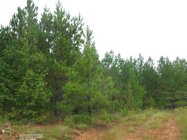 4330 Allen Bridge Road Fountain Inn, SC 29644 - Photo 7 of 9