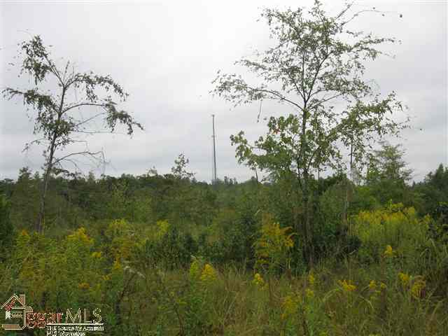 4330 Allen Bridge Road Fountain Inn, SC 29644 - Photo 8 of 9