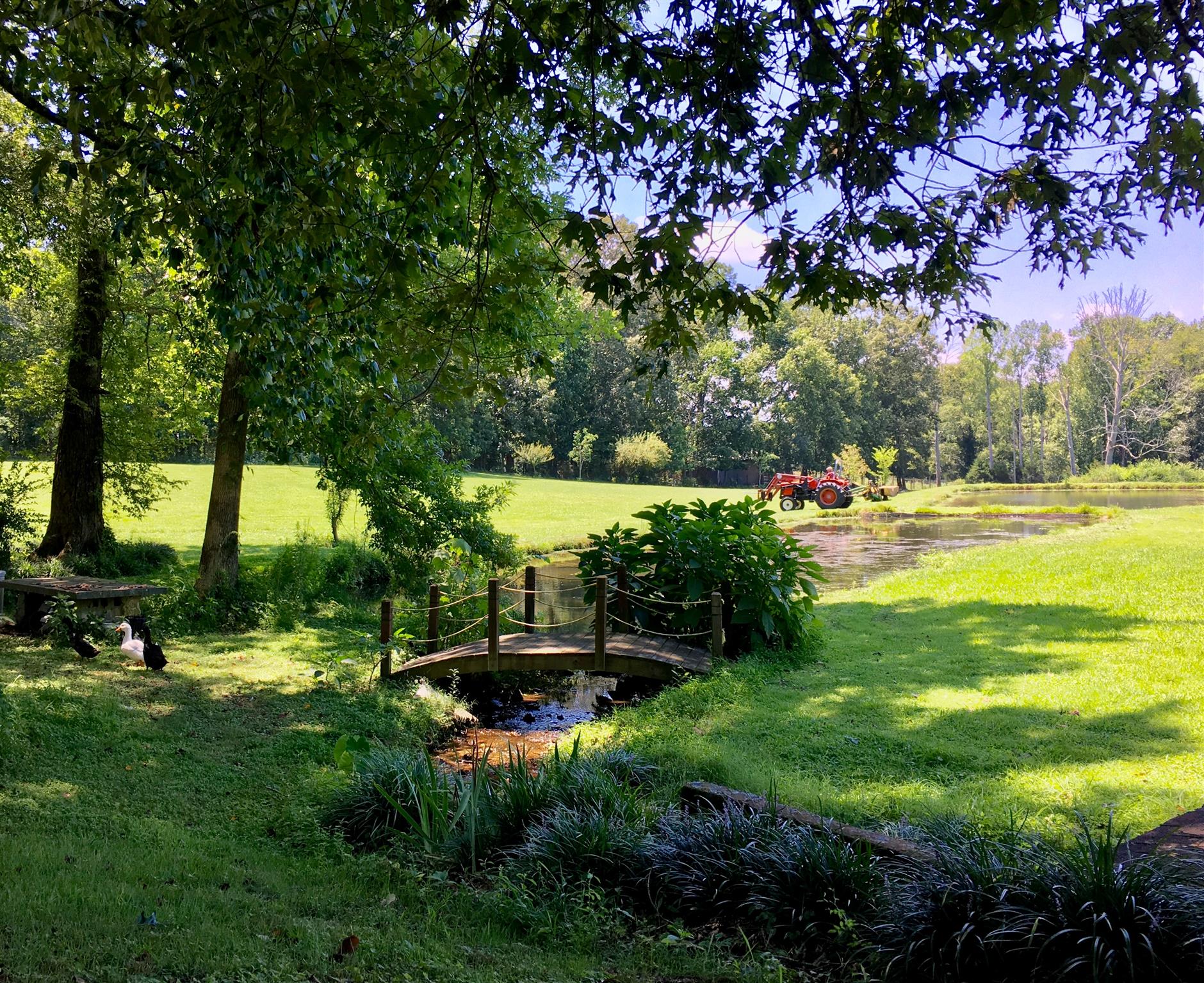 209 Bonnertown Road Five Points, TN 38457 - Photo 2 of 30 a view of a park with large trees