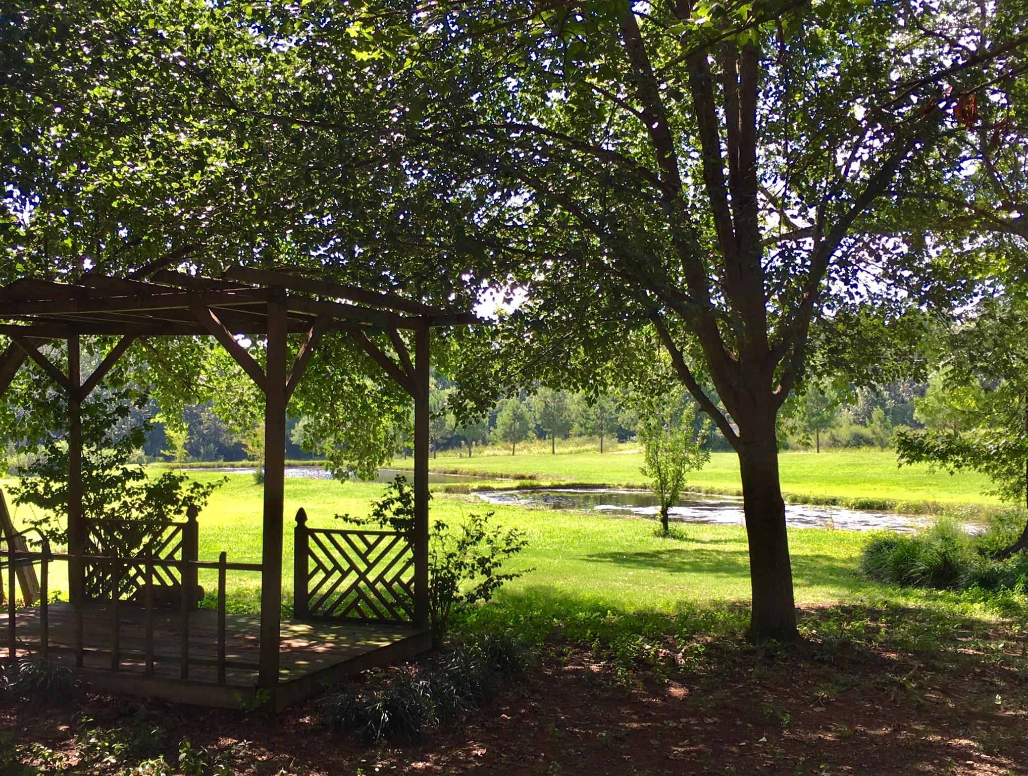 209 Bonnertown Road Five Points, TN 38457 - Photo 4 of 30 a view of outdoor space with garden