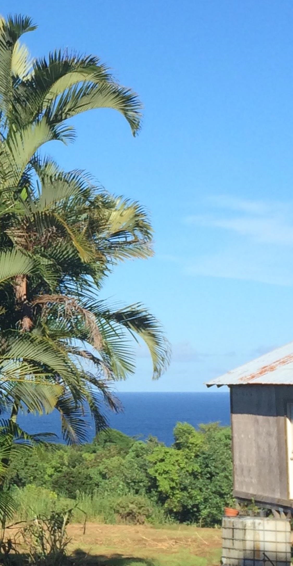 Lower Nahiku Road Haiku, HI 96708 - Photo 4 of 8