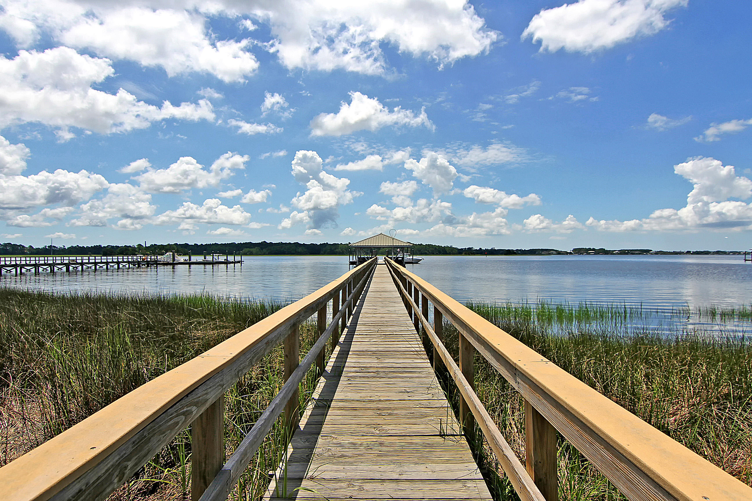 1031 Jervey Point Road Charleston, SC 29492 - Photo 34 of 44 Marina