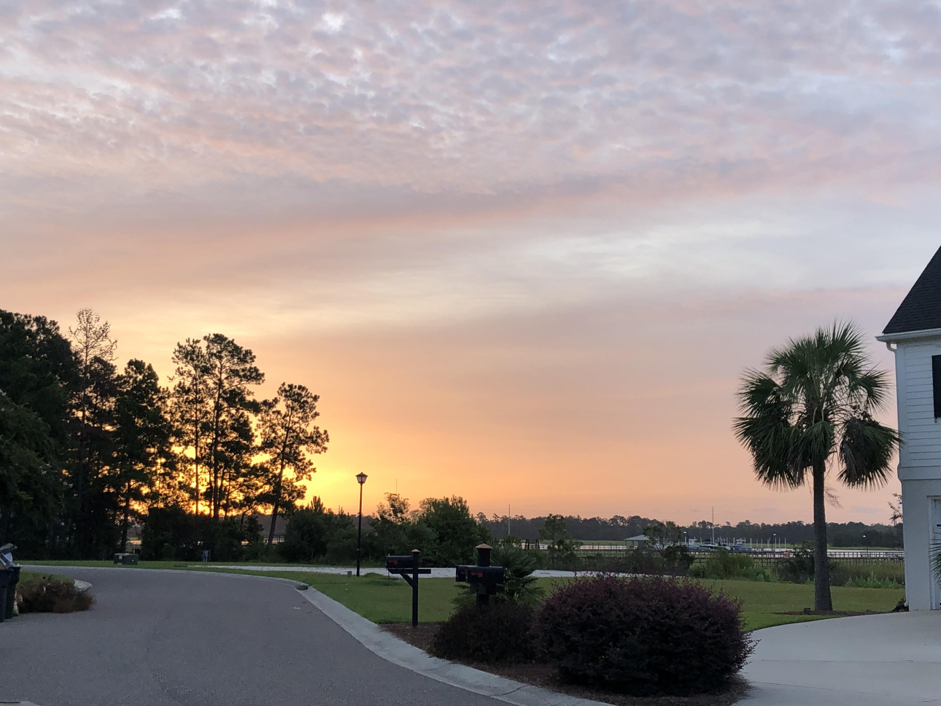1031 Jervey Point Road Charleston, SC 29492 - Photo 41 of 44 Sunrise