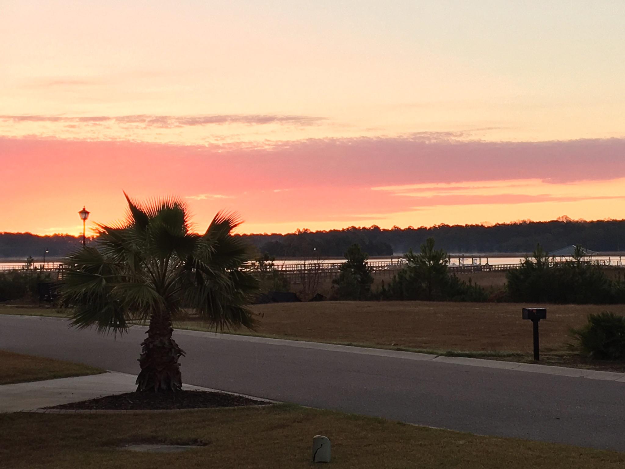 1031 Jervey Point Road Charleston, SC 29492 - Photo 42 of 44 Sunrise
