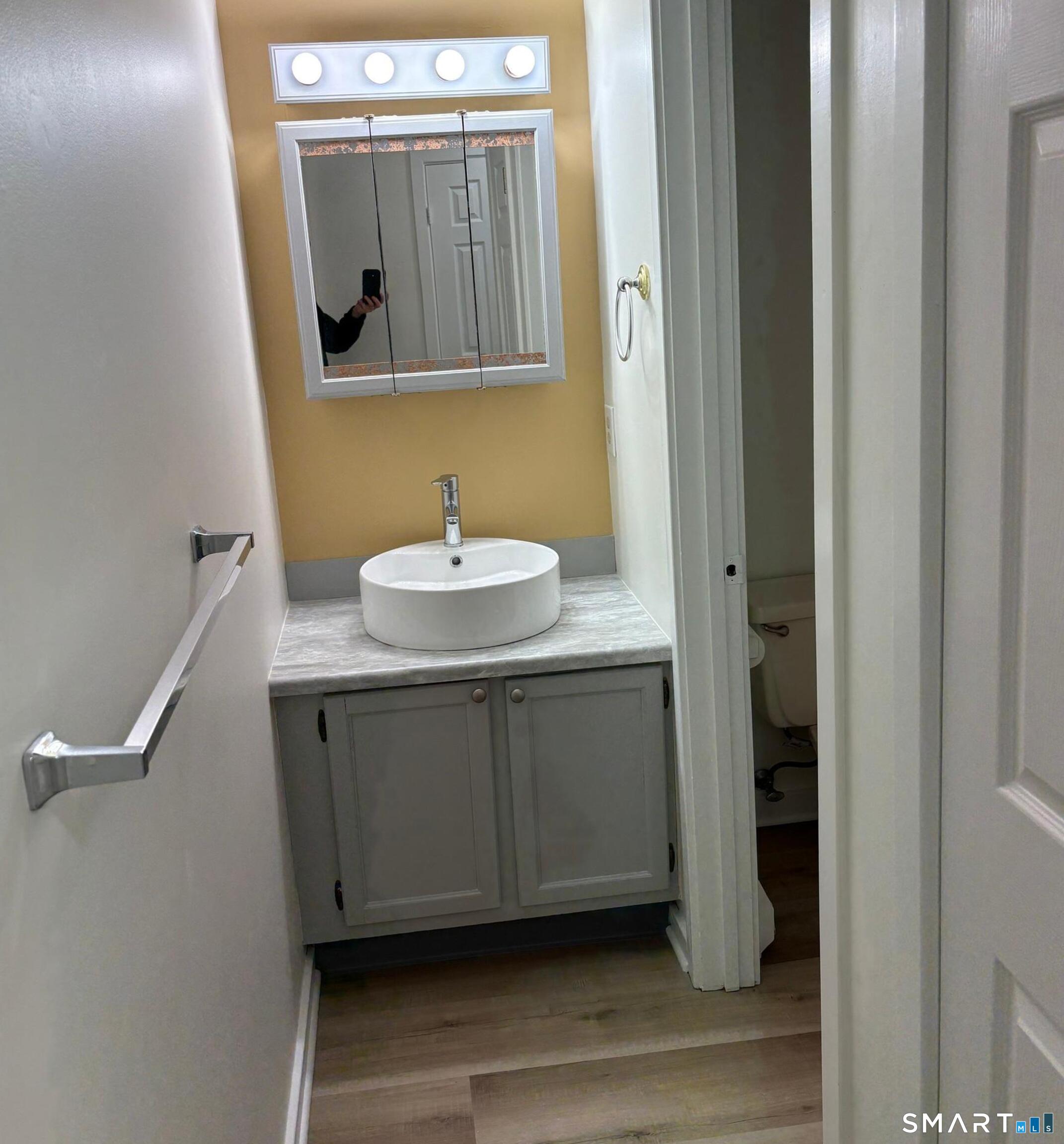 295 Redstone Hill Road, Unit 24 Bristol, CT 06010 - Photo 11 of 18 Vanity