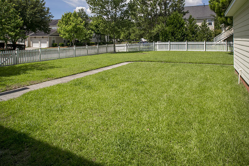 1401 Elfe Street Charleston, SC 29492 - Photo 21 of 26 WebSize_T7A9937