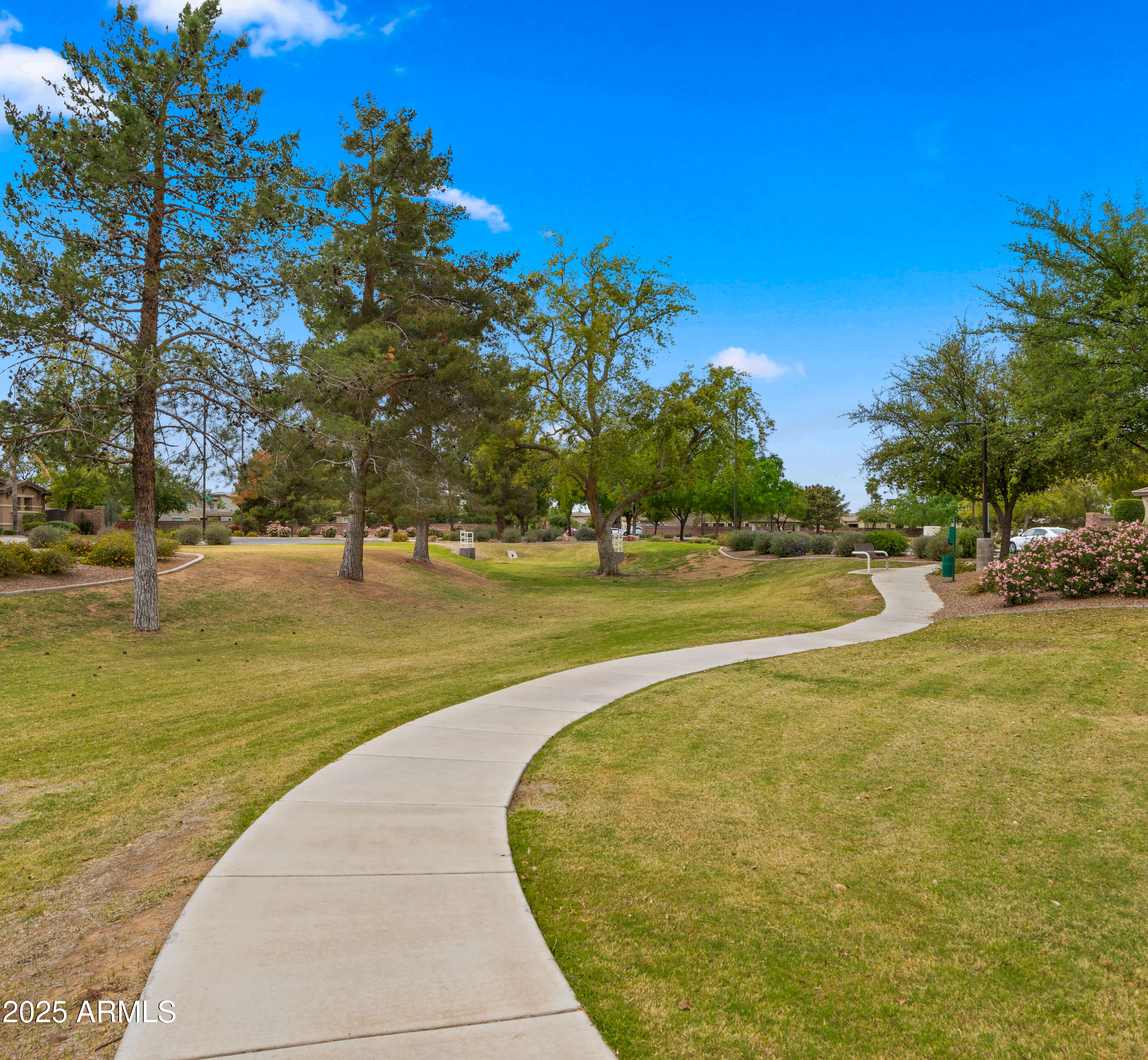 643 East Hopkins Road Gilbert, AZ 85295 - Photo 46 of 73 Community5