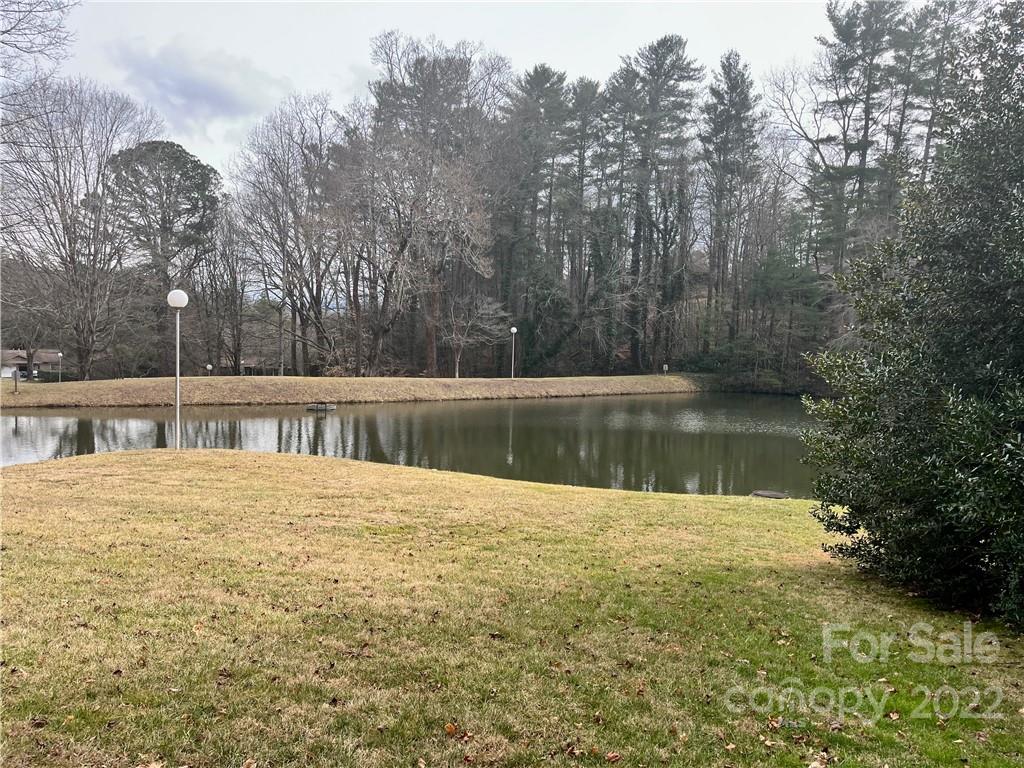 894 Weston Road, Unit 3 Arden, NC 28704 - Photo 35 of 38 Gallery Image 35