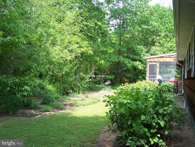 111 Heath Road Chestertown, MD 21620 - Photo 4 of 14 Back yard
