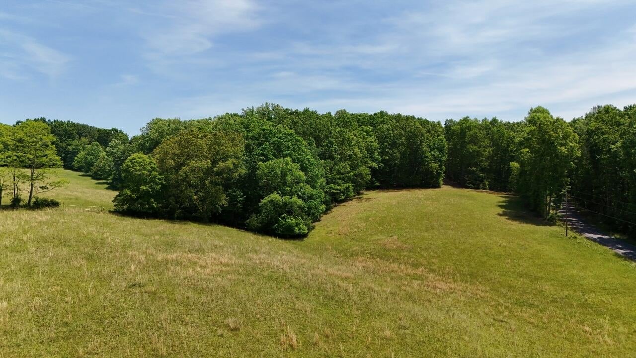 Flat Mountain Road Alderson, WV 24910 - Photo 5 of 9 Gallery Image 5